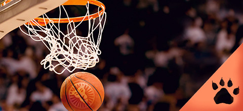 Altura de la canasta de la NBA | LeoVegas Blog