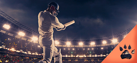 Mundial de Cricket - Guía de apuestas | LeoVegas Sports