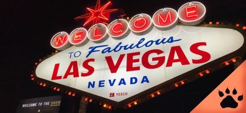 Las Vegas Nevada: el inicio de una leyenda | LeoVegas