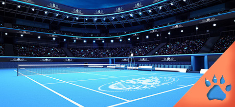 Guía de apuestas de tenis - Cómo apostar | LeoVegas Blog