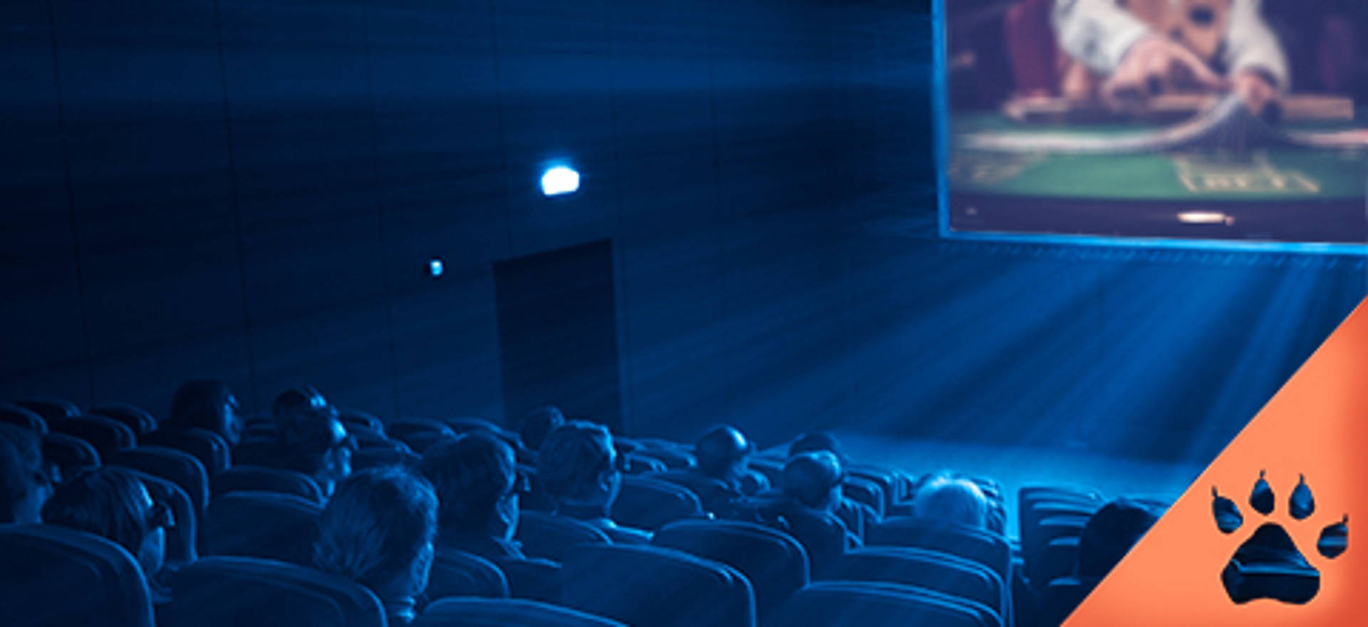 Público en cine viendo juego de cartas en pantalla; logo de marca en esquina inferior.