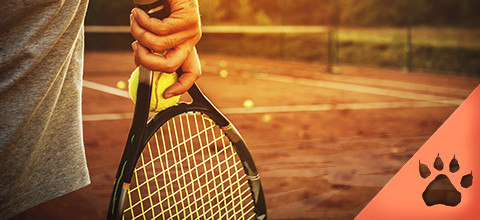 Copa Davis Online | Descubre la guía de apuestas de LeoVegas