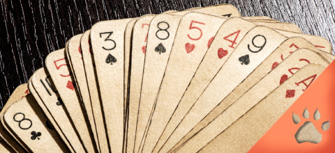 La Historia del juego de Blackjack | LeoVegas Blog 