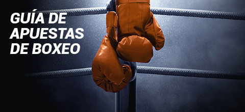 Guía de Apuestas sobre Boxeo | LeoVegas Blog