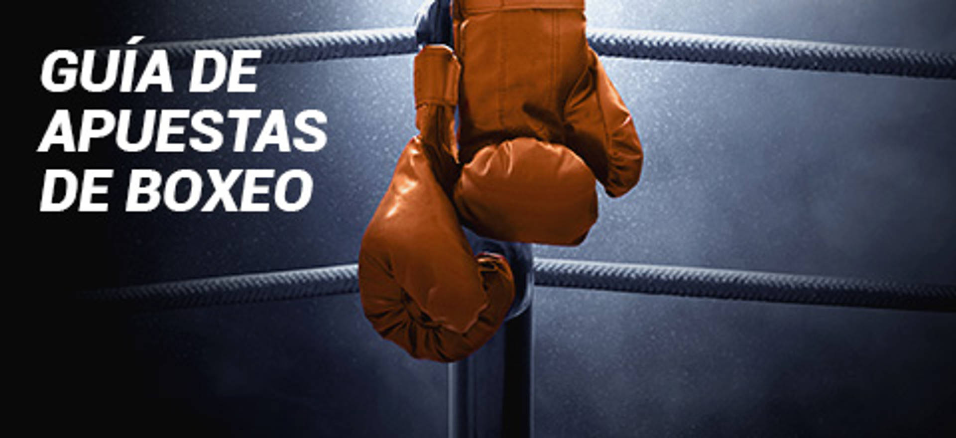 Boxing_Betting_BlogPromo_480x220_BR_D93875_TA (1).jpg