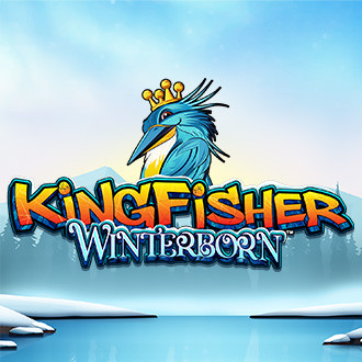 Kingfisher Winterborn